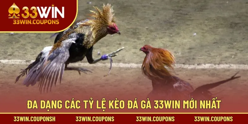 Đa dạng các tỷ lệ kèo đá gà 33win mới nhất