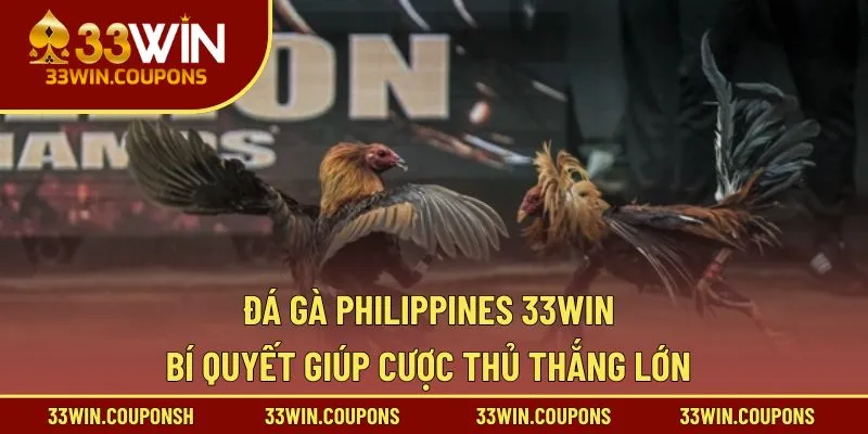 Đá gà Philippines 33WIN – Bí quyết giúp cược thủ thắng lớn