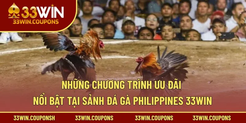 Những chương trình ưu đãi nổi bật tại sảnh đá gà Philippines 33WIN