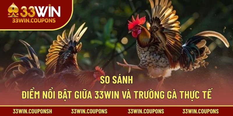 So sánh điểm nổi bật giữa 33win và trường gà thực tế