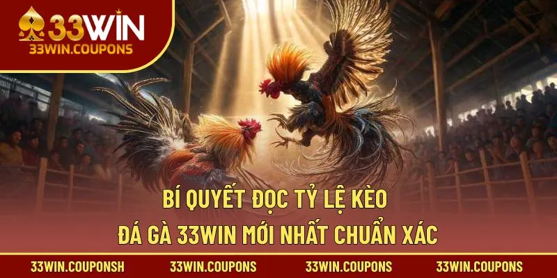 Bí Quyết Đọc Tỷ Lệ Kèo Đá Gà 33WIN Mới Nhất Chuẩn Xác